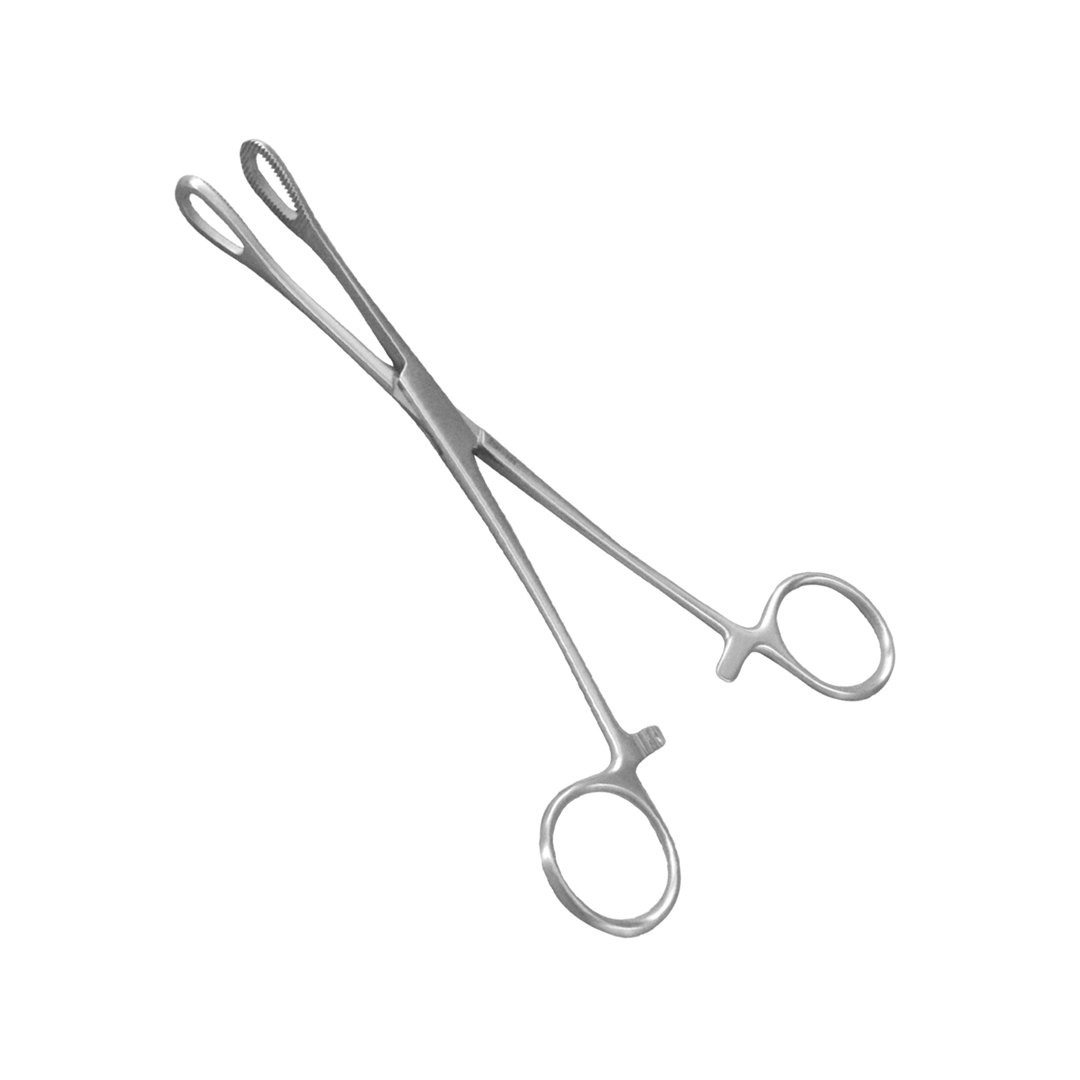 Forceps Sponge Holding available in online  pharmacy qatar, doha 